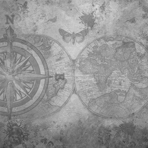 kompas wereldkaart zw